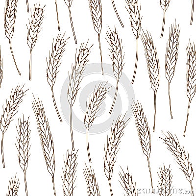 Spikelets of wheat seamless background Vector Illustration