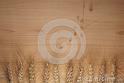 Spikelets of wheat on wooden background. top view. Baking for a bakery recipe. copy space,text space. Stock Photo