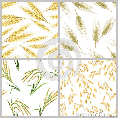 Spikes of wheat, oats, rice and rye. Set of grain ears seamless patterns. Cartoon Illustration