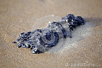 Crude oil spillage washed ashore on a beach Stock Photo