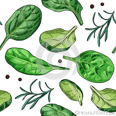 Hand drawn colorful fresh spinach leaves. Spinach and rosemary background. Seamless pattern. Vector Illustration