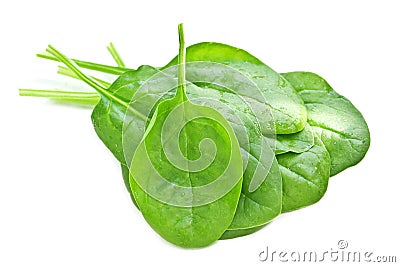 Spinach Stock Photo