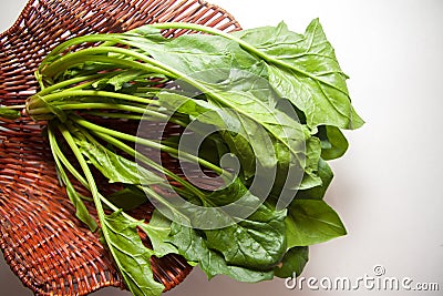 Spinach in box Stock Photo