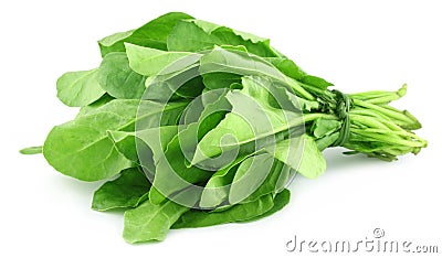 Spinach bundle Stock Photo