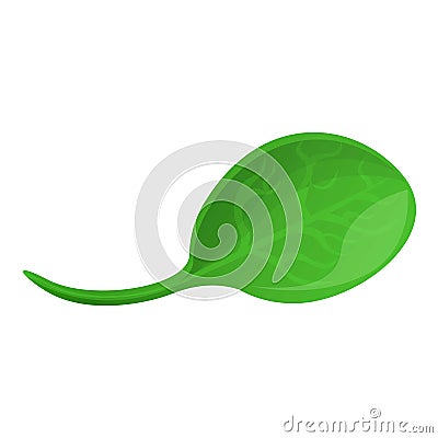 Spinach leaf icon, cartoon style Vector Illustration