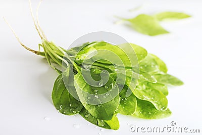 Spinach Stock Photo