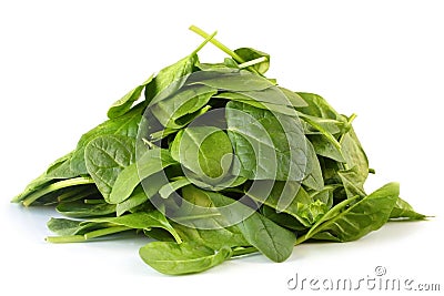 Spinach Leaves Stock Photo