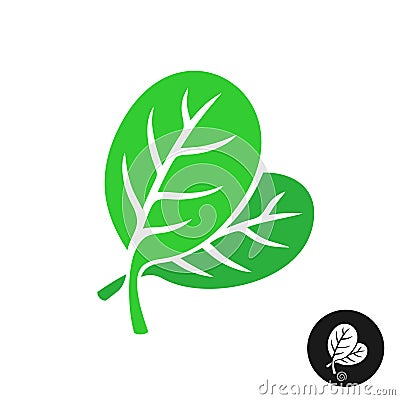 Spinach leaves illustration. Two green leaves of spinach vegetable salad Vector Illustration