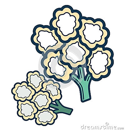 Spinach Line Vector Isolated Icon customized and editable Vector Illustration