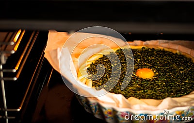 Spinach savory pie Stock Photo