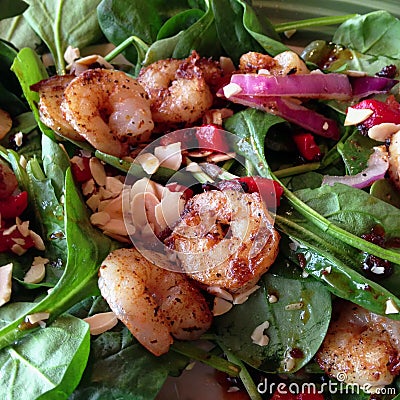 Spinach and Shrimp Salad Stock Photo