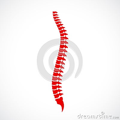 Spinal cord vector icon Vector Illustration