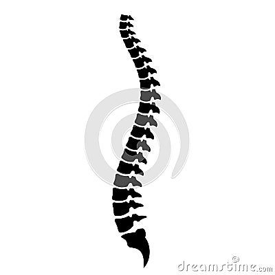 Spinal cord vector icon Vector Illustration