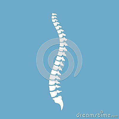 Spinal cord vector icon Vector Illustration