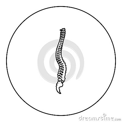 Spinal vertebral column spine backbone icon in circle round black color vector illustration image outline contour line thin style Vector Illustration
