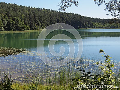 SpindÅ¾ius lake (Lithuania) Stock Photo