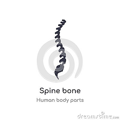 spine bone outline icon. isolated line vector illustration from human body parts collection. editable thin stroke spine bone icon Vector Illustration