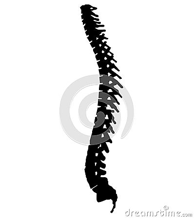 spine cord icon. human spine sing. spine pain medical center symbol. flat style Vector Illustration