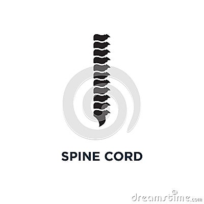 Spine cord icon. Simple element illustration. Spine cord concept Vector Illustration