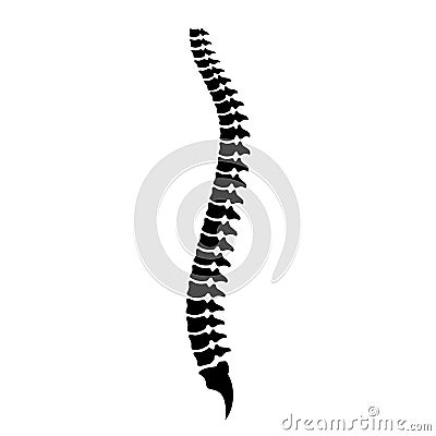 Spine cord vector icon Vector Illustration