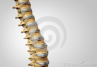 Spine Diagnostic Stock Photo