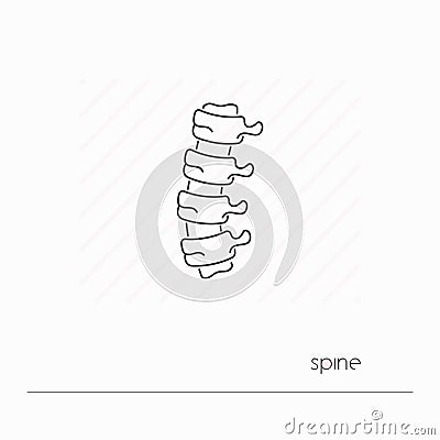 Spine icon isolated. Single thin line symbol of backbone. Vector Illustration