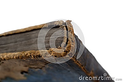 Spine of an old book Stock Photo