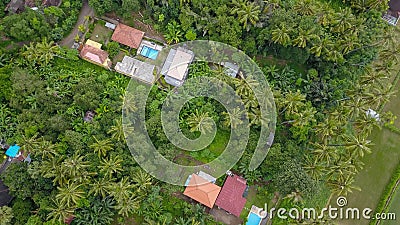 spinning aerial shot of secluded houses in dense jungle Stock Photo