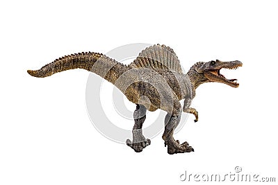 Spinosaurus ,dinosaur on white background Stock Photo