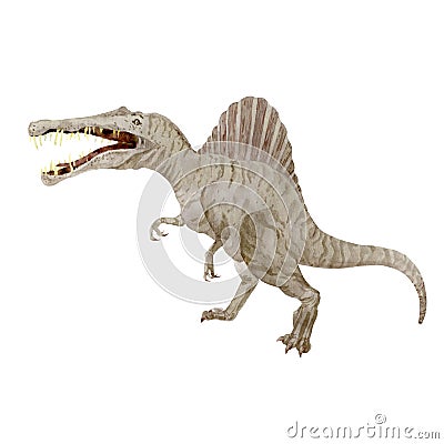 Spinosaurus isolated on white. Gray inosaur-predator. Watercolor illustration. Perfect for children things Cartoon Illustration