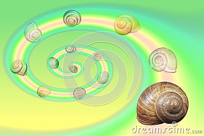 a spiral arrangement of several identical, shrinking objects Stock Photo