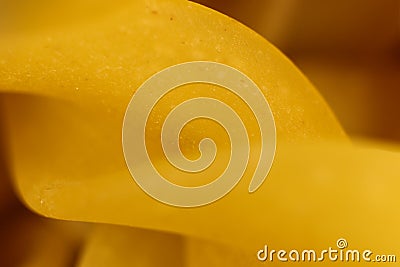 Spiral Pasta Yellow Macro Closeup. Background Texture Stock Photo