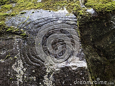 Spiral petroglyph carved in stone in La Zarza nature park archeological site in Laurel forest, laurisilva in the Stock Photo