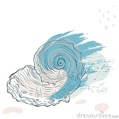 Spiral seashell on spotted grunge background Vector Illustration
