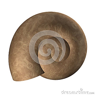 Spiral shell Stock Photo