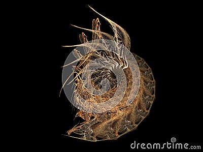 Spiral shell Stock Photo