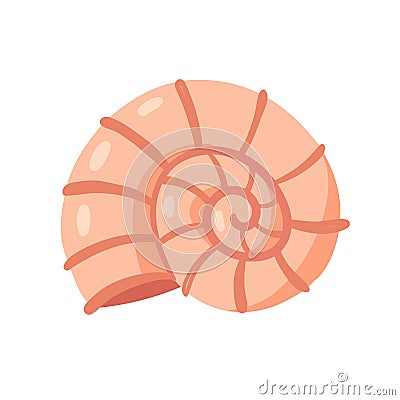 Spiral shellfish mollusk, animal from ocean marine life, shell from tropical sea waters Vector Illustration
