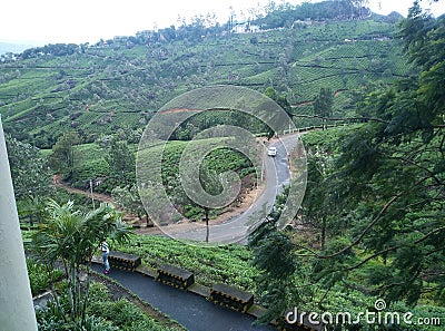 Spiral staircase created by Humans by damaging the Nature Stock Photo