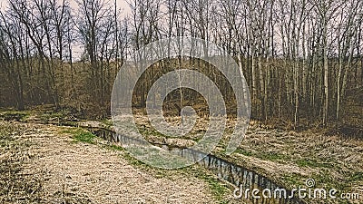 Spiraling river in spring next to woods Stock Photo