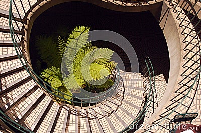 The Spiraling Staircase Stock Photo