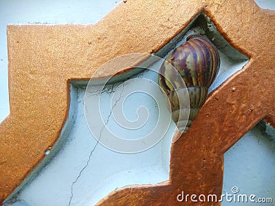 The spirit of snail climbs wall of the mosque Stock Photo