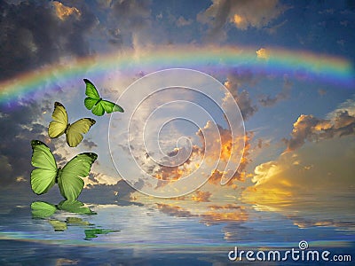 Spiritual background with colorful butterflies and rainbow in sea reflection ground Stock Photo
