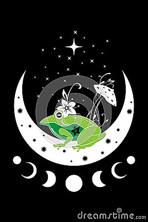 Spiritual sacred frog over magic mushroom in witchcraft crescent moon. Mystical celestial toad with moon phases and stars Vector Illustration