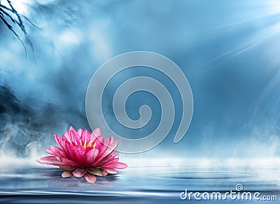 Spirituality zen with waterlily Stock Photo