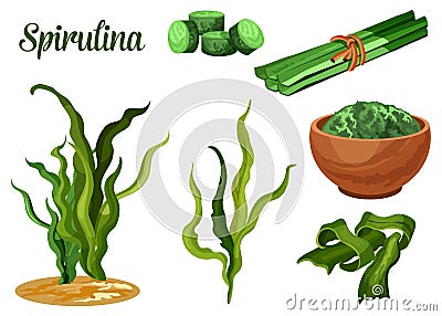 Seaweed spirulina, superfood dietary supplement Vector Illustration