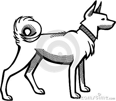 Spitz Dog with a Collar Vector Illustration