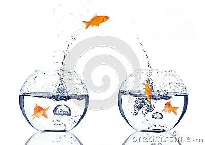 Splash!!! Stock Photo