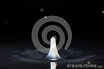 A splash of liquid sent drops of milk into it Stock Photo