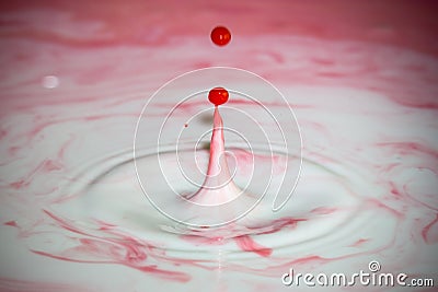 Splash of milk drop in pink color. Stock Photo