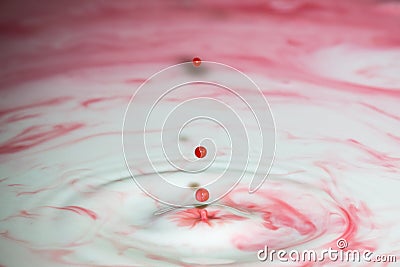 Splash of milk drop in pink color. Stock Photo